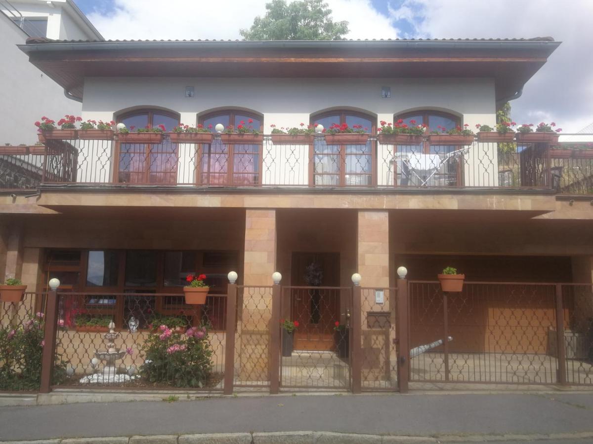 Vila Barrandov Πράγα Εξωτερικό φωτογραφία